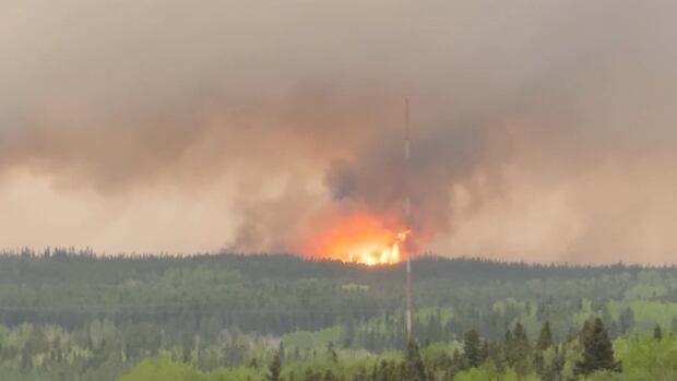 Smoke rising into the sky with a forest fire in the distance.