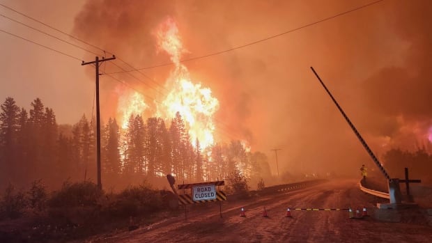 Trees go up in flames beside a road with a "road closed" sign on it.