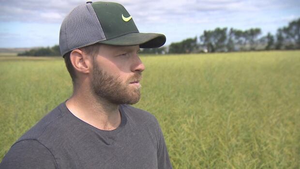 a man in a ball cap stands in a field of canola
