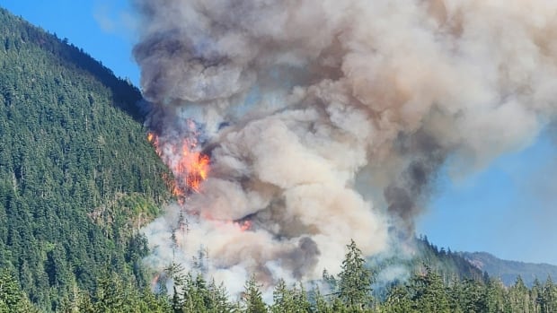 A wildfire burns on a forested mountain, with large plumes of white smoke in the air